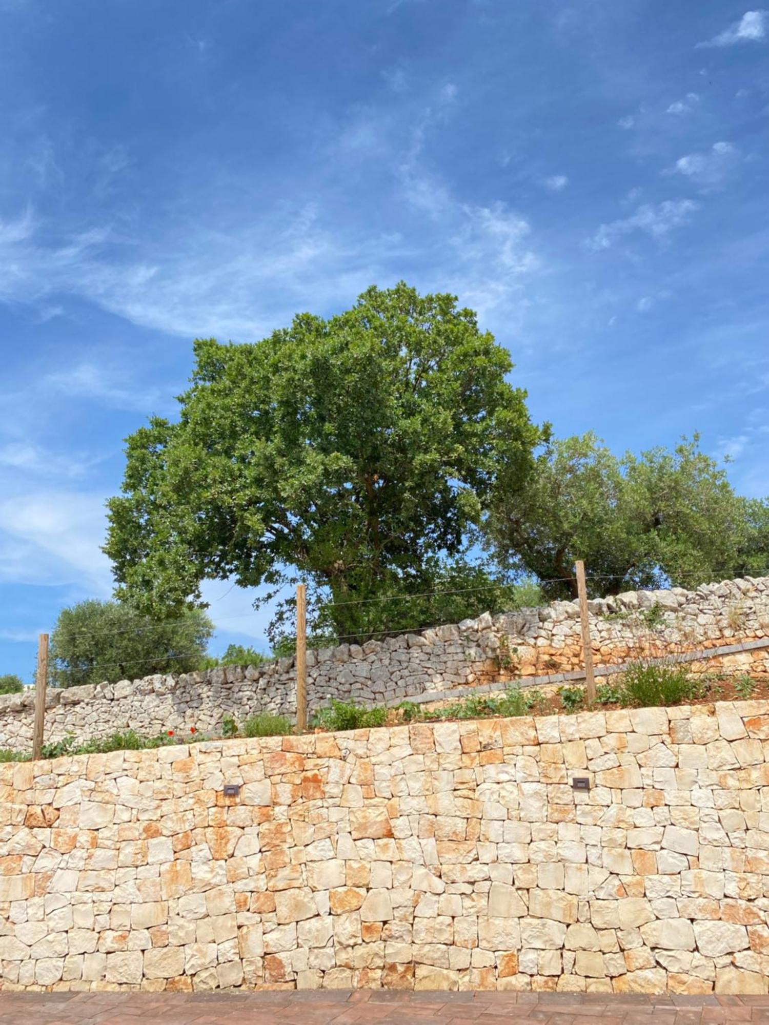 Apartament Trulli Mbs By Apulia Hospitality Locorotondo Zewnętrze zdjęcie