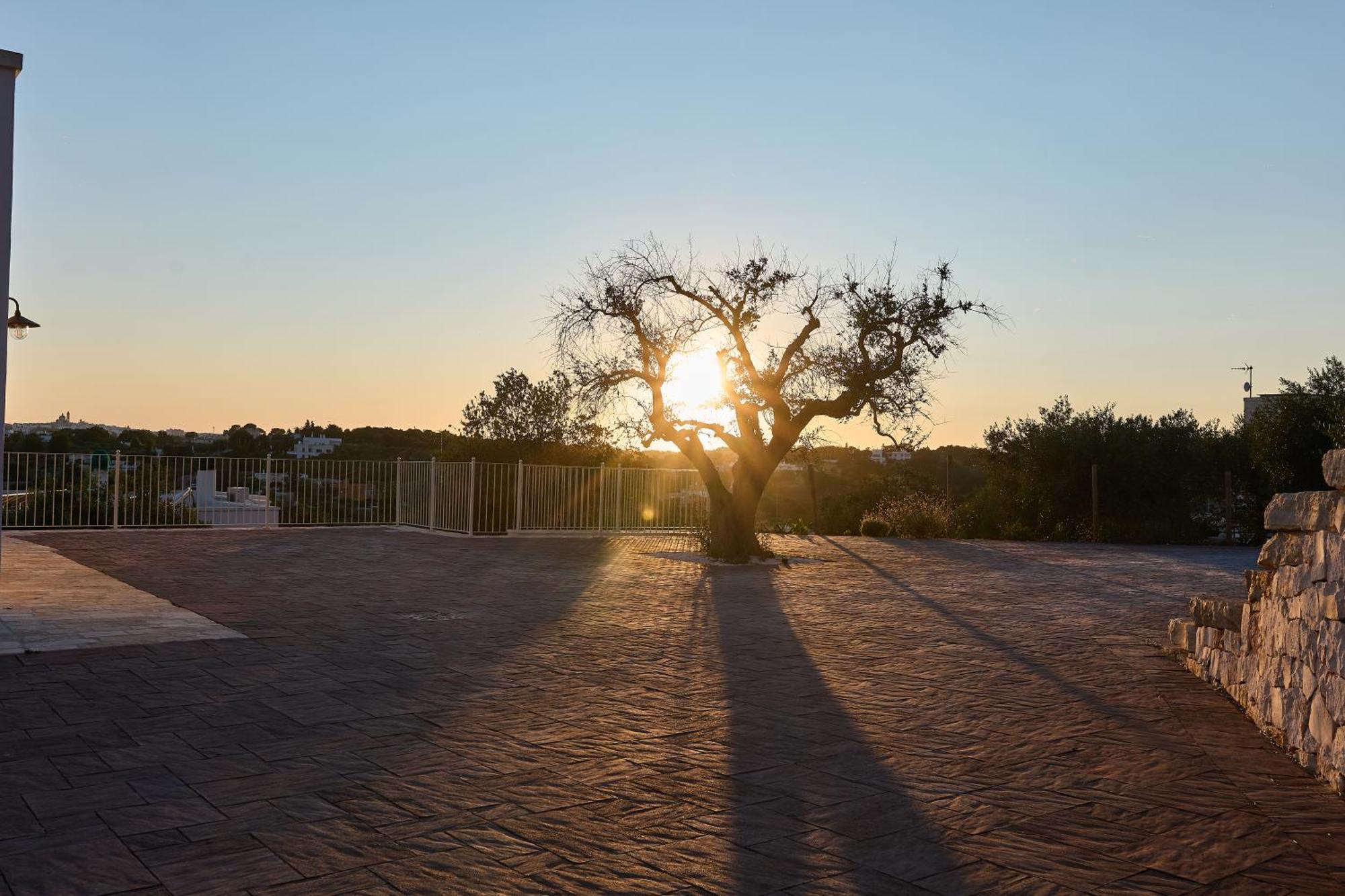 Apartament Trulli Mbs By Apulia Hospitality Locorotondo Zewnętrze zdjęcie