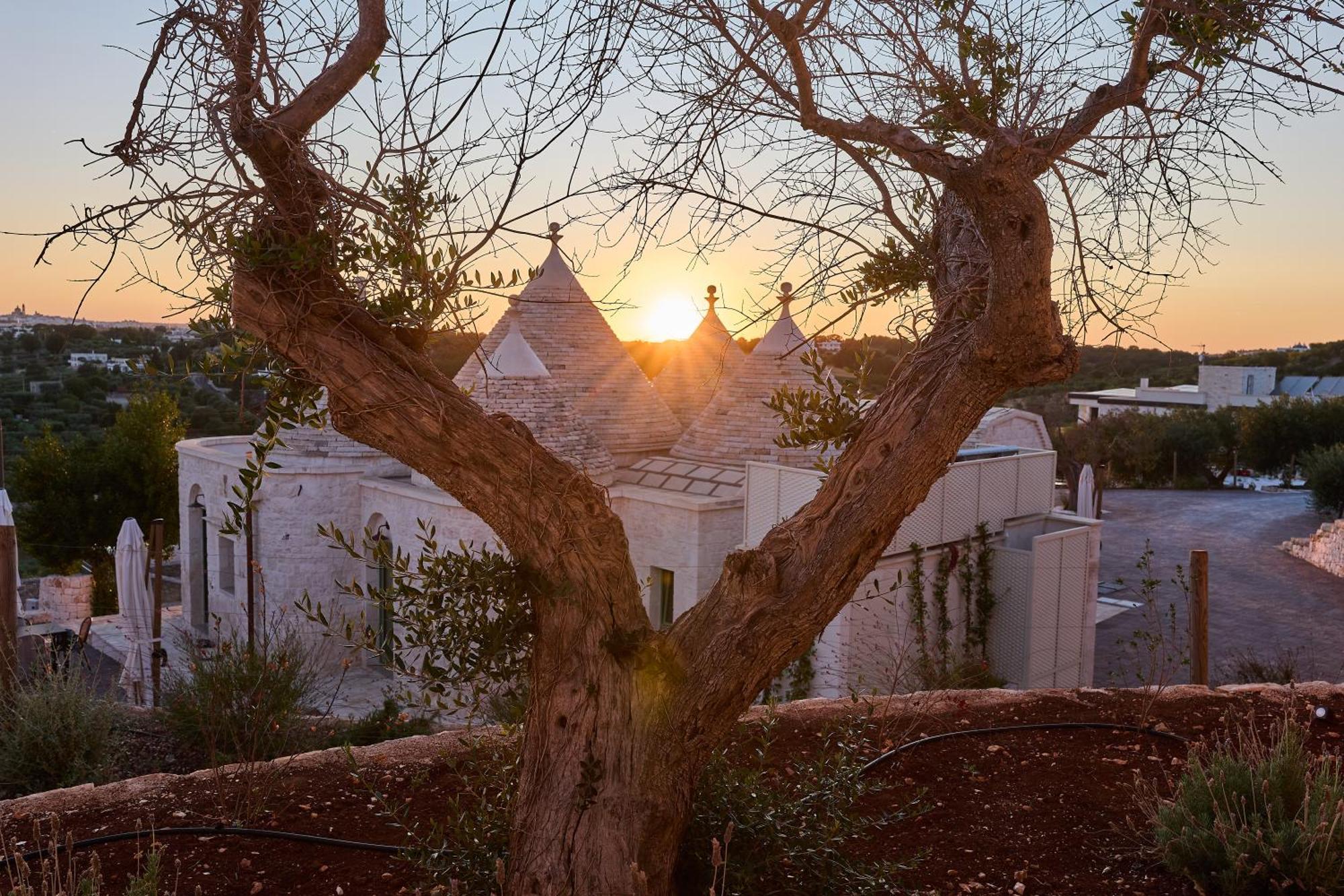 Apartament Trulli Mbs By Apulia Hospitality Locorotondo Zewnętrze zdjęcie